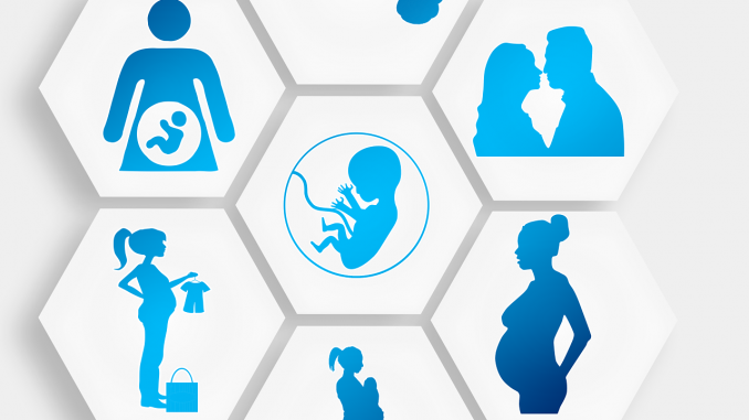 pregnancy-1749858_1280